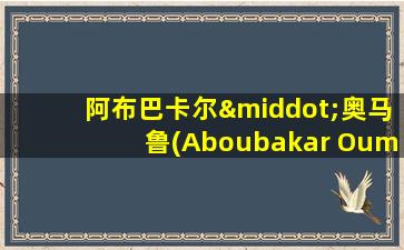 阿布巴卡尔·奥马鲁(Aboubakar Oumarou)